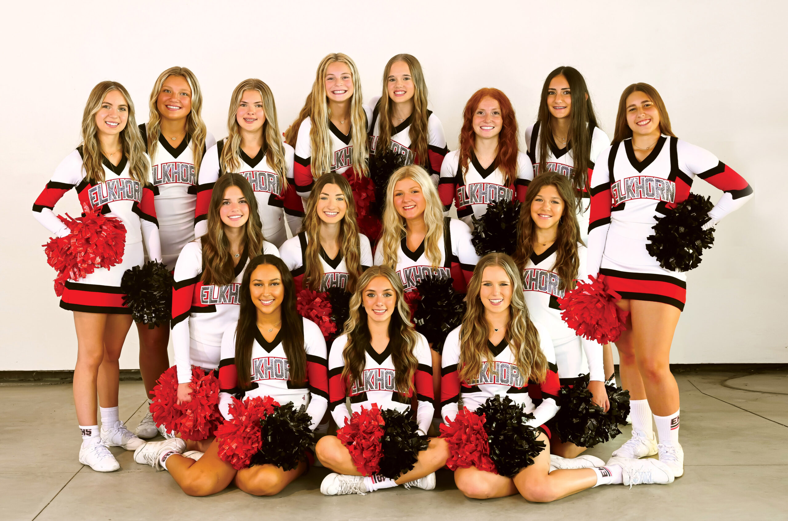 Photo of all Cheer Team members