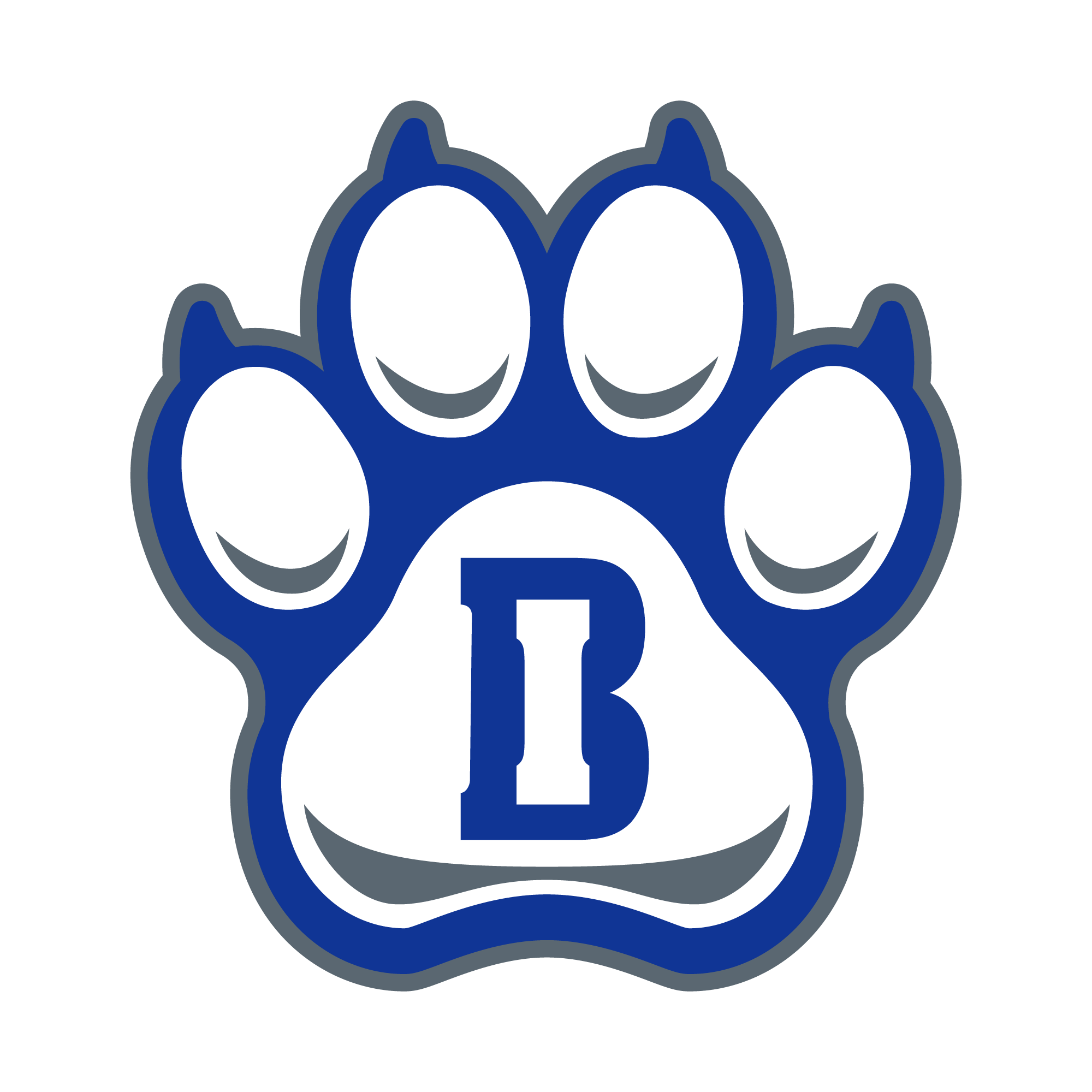 Iron Bluff Elementary